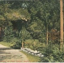 Postcard, Pine Lodge, N.Y.
